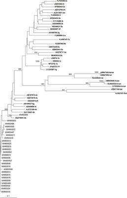 Analyses of Clinical and Biological Data for French and Belgian Immunocompetent Patients Infected With Hepatitis E Virus Genotypes 4 and 3